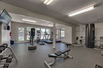 A gym with a variety of equipment including treadmills, weights, and a television.
